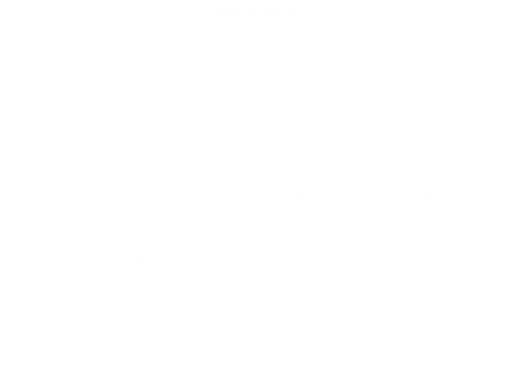 Contact Vip Securtal 